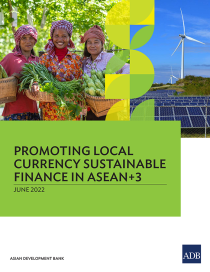 Promoting local currency sustainable finance in ASEAN+3
