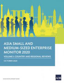 Asia small and medium-sized enterprise monitor 2020 volume I—country and regional reviews