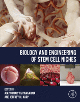 Biology and engineering of stem cell niches