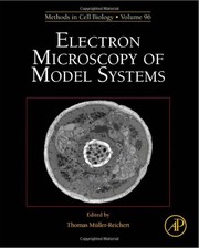 Electron microscopy of model systems