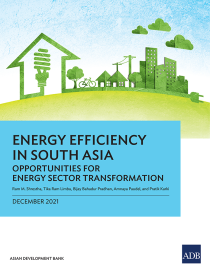 Energy efficiency in South Asia opportunities for energy sector transformation
