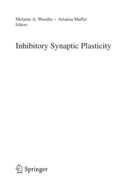 Inhibitory synaptic plasticity
