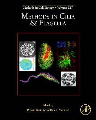 Methods in cilia & flagella
