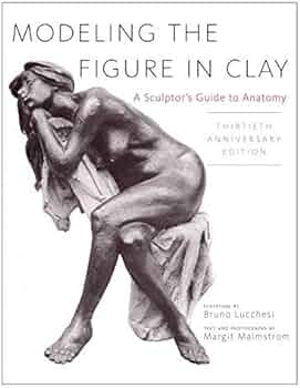 Modeling the figure in clay a sculptor's guide to anatomy