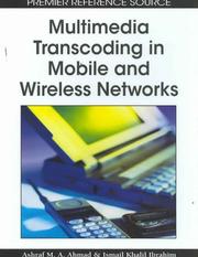 Multimedia transcoding in mobile and wireless networks