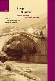 Bridge or barrier religion, violence, and visions for peace