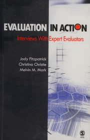 Evaluation in action interviews with expert evaluators
