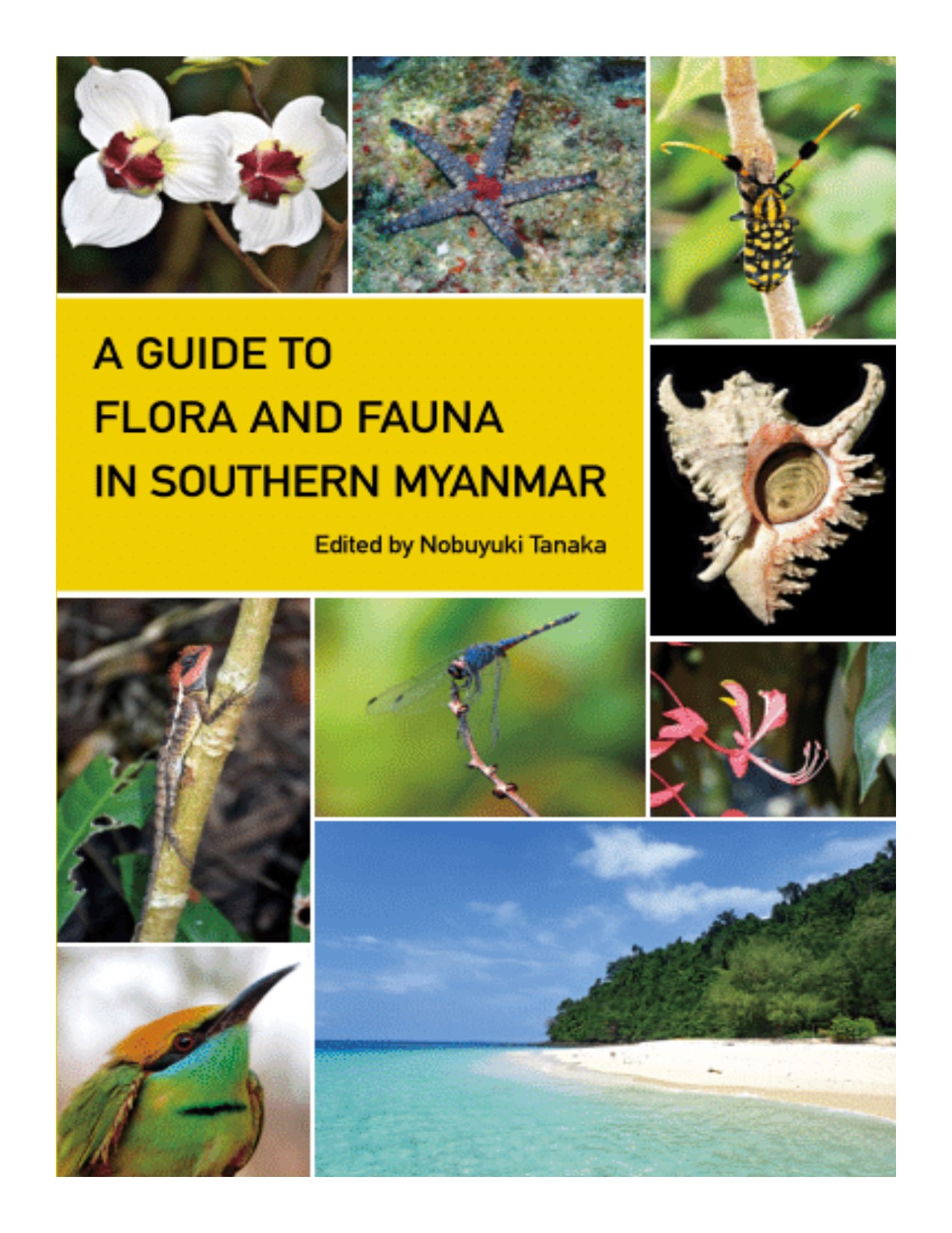 A guide to flora and fauna in southern Myanmar