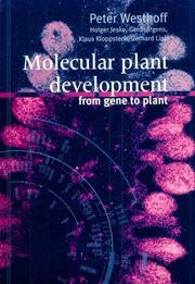 Molecular plant development from gene to plant