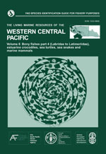 FAO species identification guide for fishery purposes. The living marine resources of the Western Central Pacific Vol. 6 Bony fishes part 4 (Labridae to Latimeriidae) estuarine crocodiles, sea turtles, sea snakes and marine mammals.