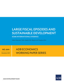 Large fiscal episodes and sustainable development some international evidence