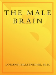The male brain