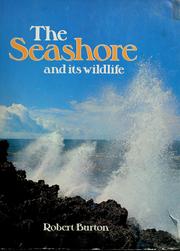 The seashore and its wildlife