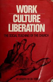 Work, culture, liberation the social teaching of the Church