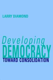 Developing democracy toward consolidation