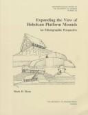 Expanding the view of Hohokam platform mounds an ethnographic perspective