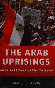 The Arab uprisings what everyone needs to know