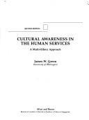 Cultural awareness in the human services a multi-ethnic approach