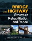 Bridge and highway structure rehabilitation and repair