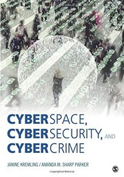 Cyberspace, cybersecurity, and cybercrime