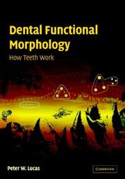 Dental functional morphology how teeth work