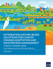 Integrating nature-based solutions for climate change adaptation and disaster risk management a practitioner’s guide