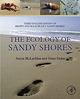 The ecology of sandy shores