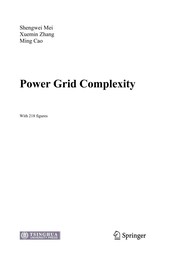 Power grid complexity