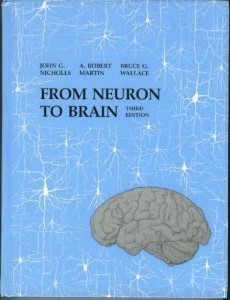 From neuron to brain a cellular and molecular approach to the function of the nervous system