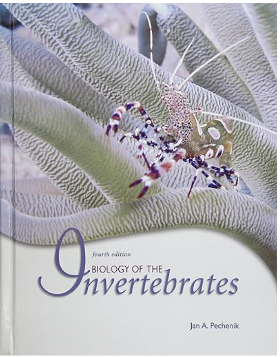 Biology of the invertebrates.