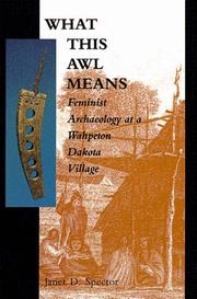 What this awl means feminist archaeology at a Wahpeton Dakota village