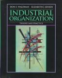 Industrial organization : theory and practice