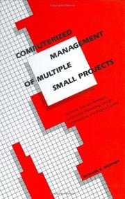 Computerized management of multiple small projects