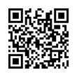 QR Code (код быстрого отклика)
