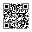 QR Code (код быстрого отклика)