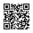 QR Code (код быстрого отклика)