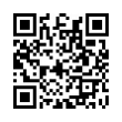 QR Code (код быстрого отклика)