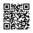 QR Code (код быстрого отклика)