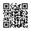 QR Code (код быстрого отклика)