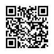 QR Code (код быстрого отклика)