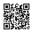QR Code (код быстрого отклика)