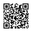 QR Code (код быстрого отклика)