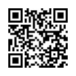 QR Code (код быстрого отклика)