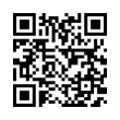 QR Code (код быстрого отклика)