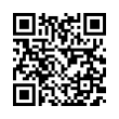 QR Code (код быстрого отклика)