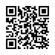 QR Code (код быстрого отклика)