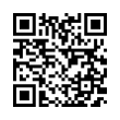 QR Code (код быстрого отклика)