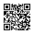 QR Code (код быстрого отклика)