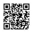 QR Code (код быстрого отклика)