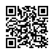 QR Code (код быстрого отклика)